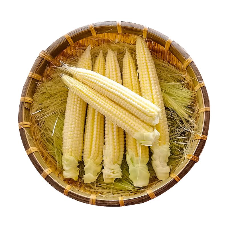 新鲜甜玉米笋5斤小玉米芯仔新鲜蔬菜现摘迷你玉米笋水果玉米包邮