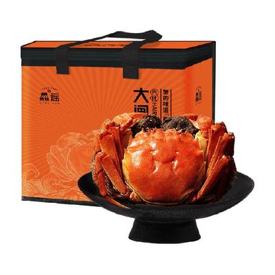 鱻谣大闸蟹全母特大螃蟹