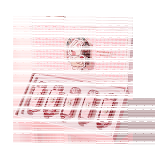 HOLD LIVE复古花园唇釉礼盒哑光水光雾面兔兔口红套装女显白水润