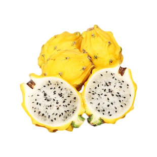 《送礼精品》海南燕窝果5斤大果礼盒装新鲜白心火龙果顺丰包邮