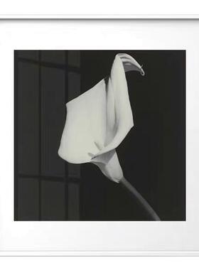 马蹄莲黑白摄影极简高级静物植物装饰画设计师样板间挂画餐厅壁画