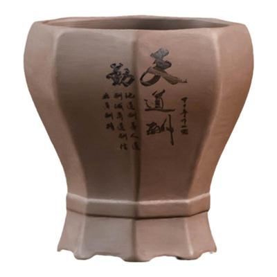 兰花专用花盆紫砂透气