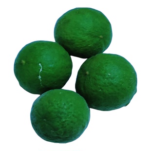 铁篱寨中药材枸橘枳壳枳实新鲜橘子野生铁篱寨果正宗包邮