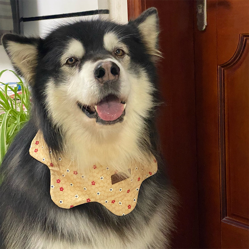 宠物狗狗猫咪花瓣造型围脖 围嘴 口水巾狗狗 小中大型犬金毛萨摩