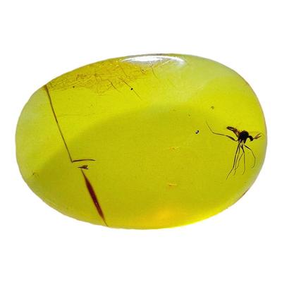 纯天然琥珀蜜蜡蚊子虫珀化石吊坠