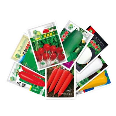 脆甜凤梨水果萝卜樱桃小萝卜种子