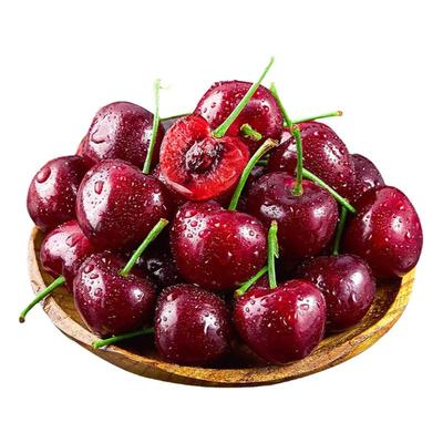 【顺丰礼盒】5斤5j车厘子桑提娜