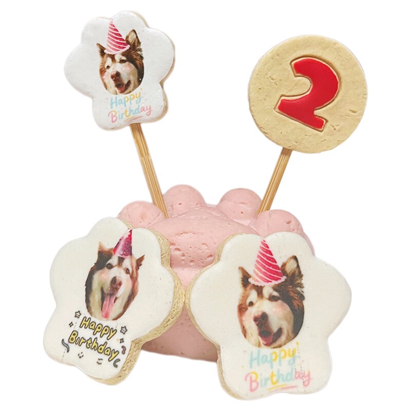 小宠一狼爪子宠物生日蛋糕饼干零食定制狗猫咪照片生日插牌小型犬