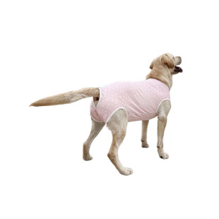 泰旺大中型犬狗狗生理裤月经期金毛姨妈防骚扰避孕衣服全包裹纯棉