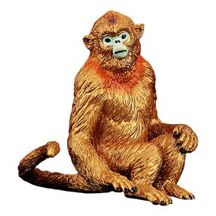 童德仿真动物玩具模型大金丝猴灵长类野生猴子黑猩猩猿猴猕猴儿童