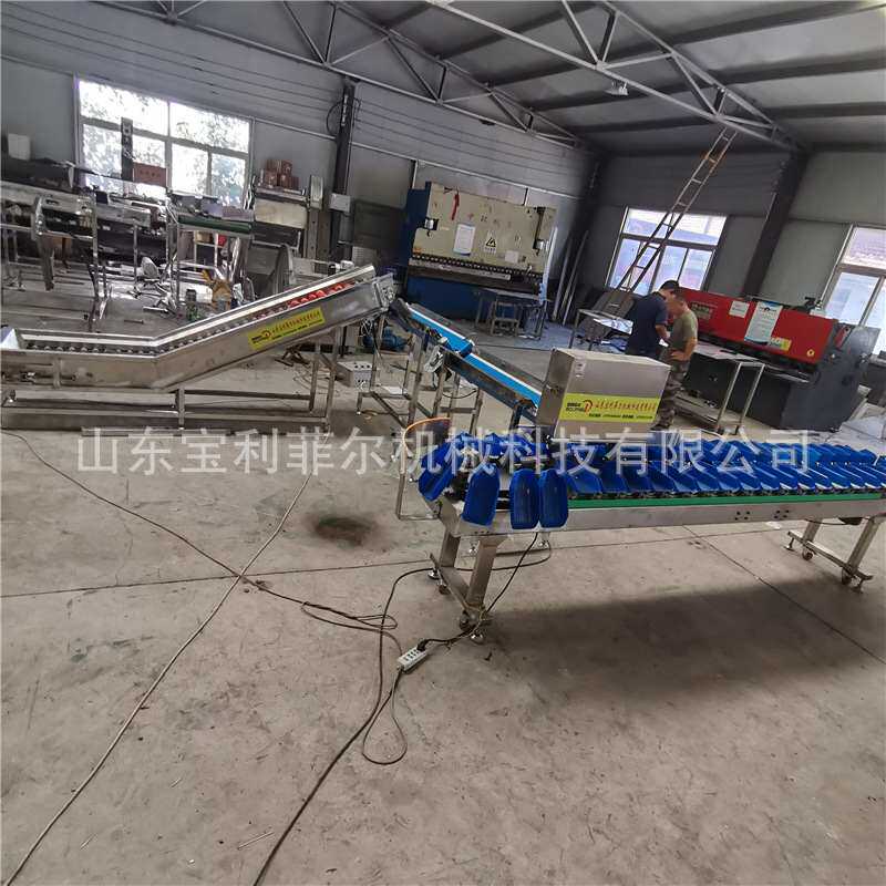 果蔬分选机 重量分选机 水果分级设备 自动水果称重机 小型选果机