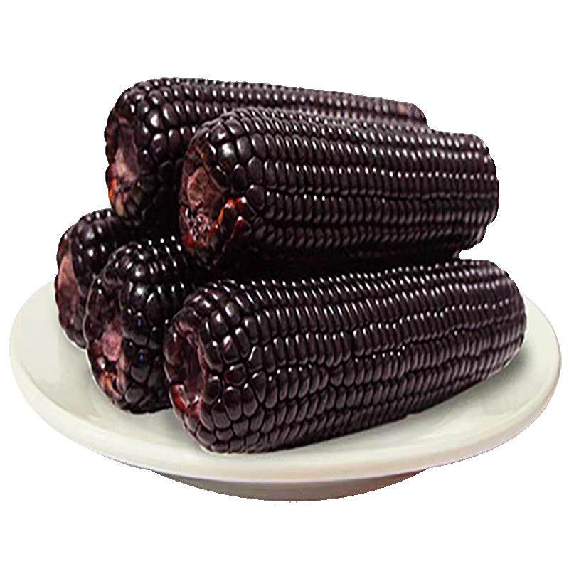 御绿2025新鲜黑糯玉米真空装东北甜糯苞米黄糯黑糯玉米官方旗舰店