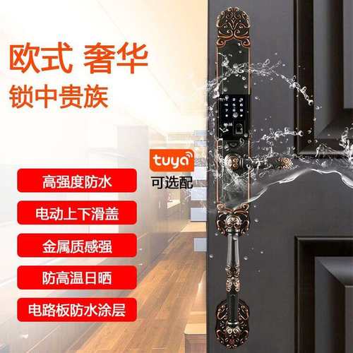 双开入户门智能锁 防水防晒电子锁 涂鸦zigbee智能家居别墅指纹锁