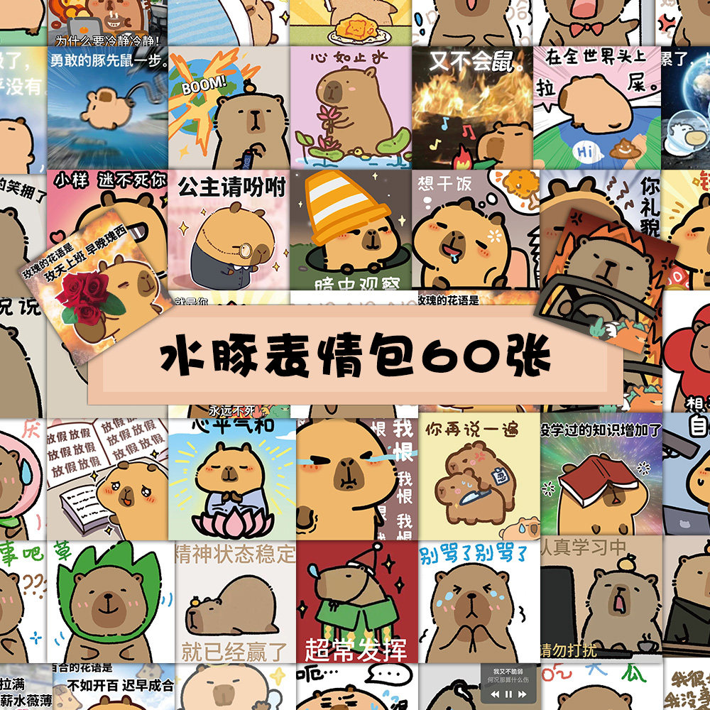 卡皮巴拉贴纸水豚表情包儿童小学生手账素材套装可爱卡通高颜值手