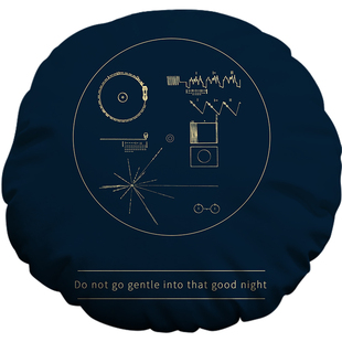 旅行者一号圆形抱枕黄金唱片办公靠垫美式ins风午休趴睡枕头定制