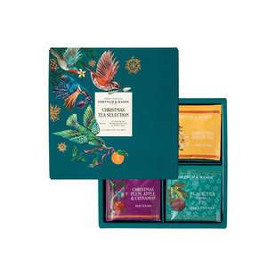 FortnumMason福南梅森茶包限定礼盒95g红茶绿茶无花果茶肉桂茶