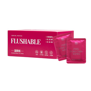 绒呼吸湿厕纸女士专用私护洁阴卫生清洁经期擦屁股湿纸巾独立包装
