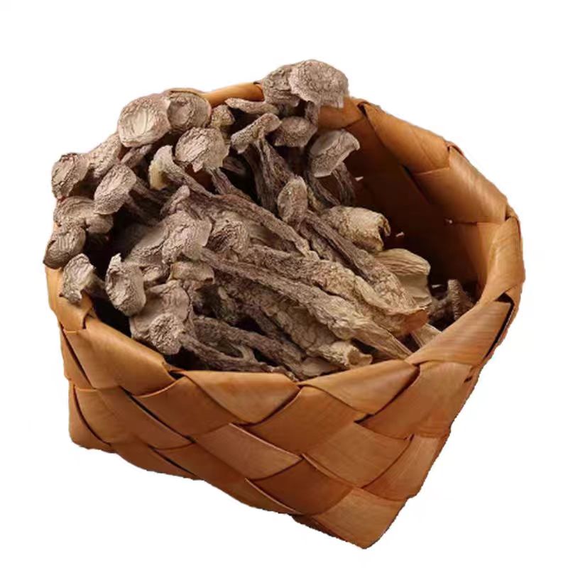 云南特产鹿茸菇优质正品干货500g一级脆菌非特级蘑煲汤官方旗舰店