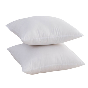 抱枕芯内胆455060沙发靠枕腰枕靠背垫套靠垫羽丝绒长方形舒适真空