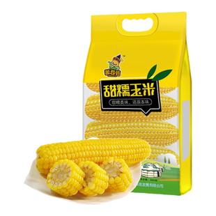 蒙谷苞内蒙黄糯玉米早餐粗粮粘玉米棒鲜香拉丝真空包装10根手拎袋