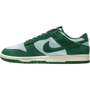 Nike/耐克官方正品Dunk RETRO SE男士轻便经典低帮板鞋FQ8249-300