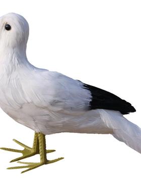 仿真小鸟真羽毛海鸥摆件