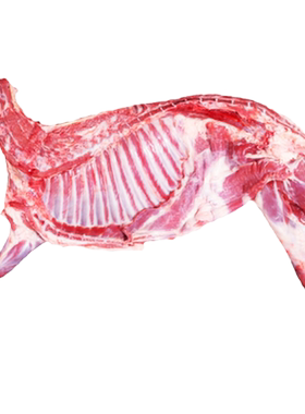 宁夏盐池滩羊肉端午生羊肉礼盒