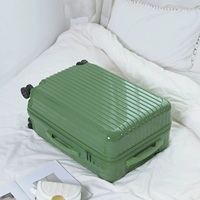 Обычный модель-авокадо зеленый