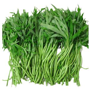 湖北特产新鲜藜蒿芦蒿篙子应城泥蒿苔梗蒌蒿蔬菜现货冰鲜装包邮