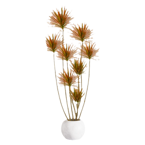 千年木客厅绿植大型植物盆栽造景室内好养七彩铁龙血树落地式真树