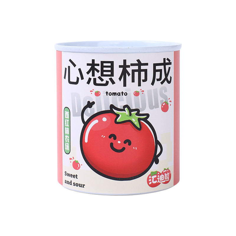 diy种植儿童小盆栽桌面绿植