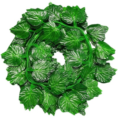 ~太值了！超逼真的葡萄藤条~装饰