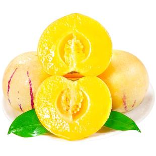 人参果新鲜云南石林人叁果圆果人生果娃娃果七彩黄肉水果整箱包邮