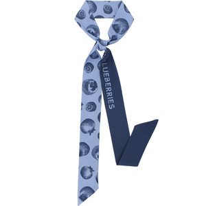 蓝莓编发加长丝巾发带女夏季外出绑发绑包飘带丝带蝴蝶结扎头发饰