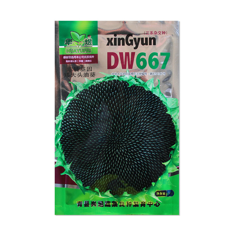 华煜DW667矮大头油葵种子