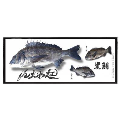 垂钓路亚黑鲷海钓金枪鱼路亚摆件