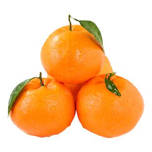 正宗四川春见耙耙柑粑粑柑杷杷柑水果新鲜整箱当季丑桔橘子旗舰店