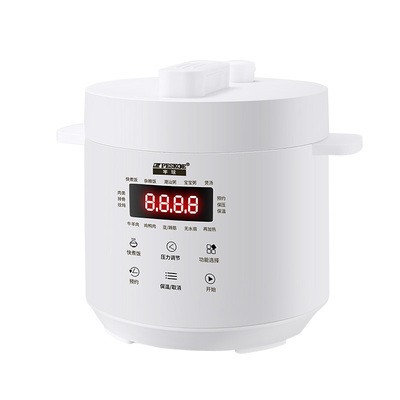 半球家用小型电压力锅