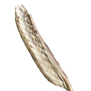 舟山特产沙鳗干500g淡晒新风鳗鲞鳗鱼干油鳗干温州新鲜七星鳗鱼干