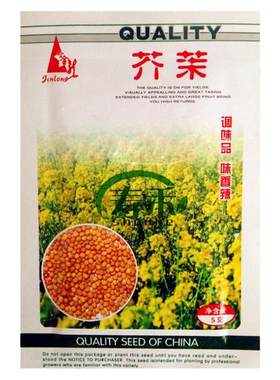 芥末阳台盆栽春天夏季种子