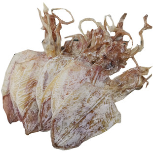 北海淡干A5小鱿鱼干KTV烧烤专用手撕鱿鱼干货水煮尤鱼仔片500g