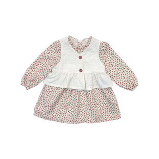 女童秋装连衣裙2025新款秋天童装裙子小女孩女宝宝公主韩版碎花裙