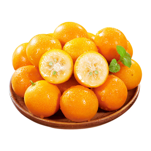 广西融安脆皮金桔10斤小橘子新鲜水果当季蜜金柑整箱孕妇青橘包邮