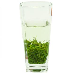 2025新茶南漳绿茶高山明前特级芽毛尖一芽一叶清香味浓汤色绿250g