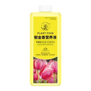 郁金香营养液水培肥料球根植物专用肥风信子朱顶红仙客来通用盆栽