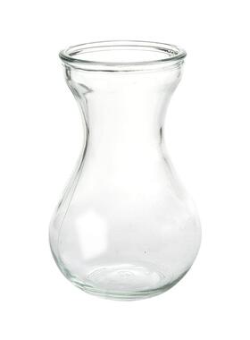透明玻璃瓶花瓶植物水培容器