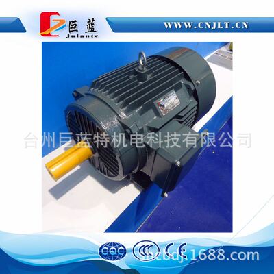 W20-V1 - 160 kw-4p_V1立式三相电机 380v 50hz 1400转 巨蓝