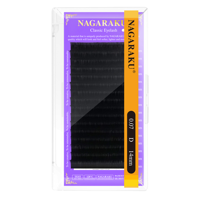 开花圆毛天鹅绒柔软漫画太阳花