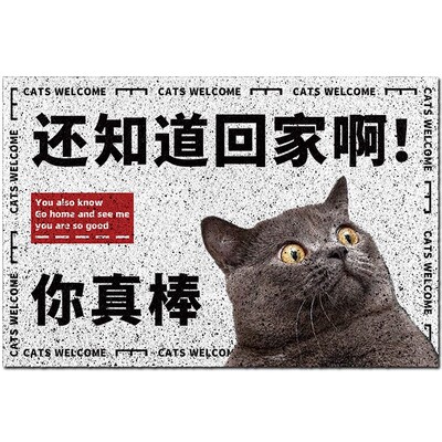 入户门地垫蹭土防滑