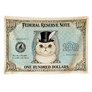 毛毯加厚冬办公室午睡披肩毛毯沙发盖毯猫咪美元创意礼物空调定制